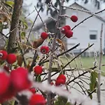 Ferienhaus Vilagos Kert Garden -balatonvilagos *