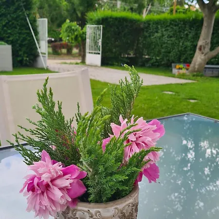 Vilagos Kert Garden -balatonvilagos בית נופש