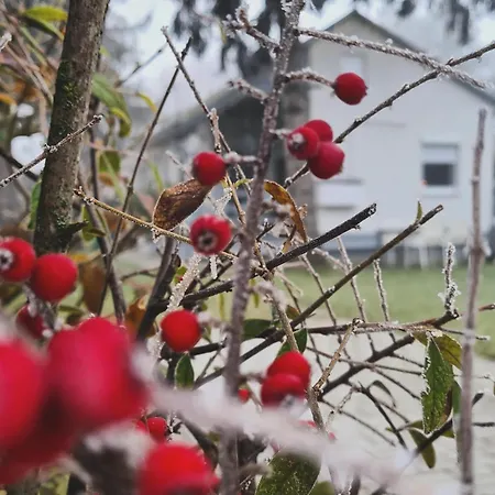 بيت للعطل Vilagos Kert Garden -balatonvilagos *