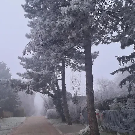 Világos Kert Balatonvilágos Chill House *