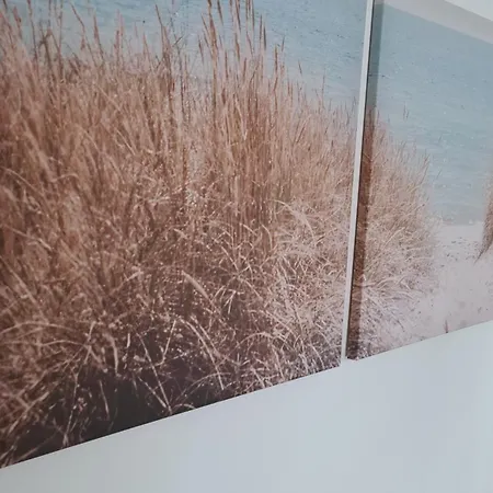 بيت للعطل Vilagos Kert Garden -balatonvilagos Balatonvilágos