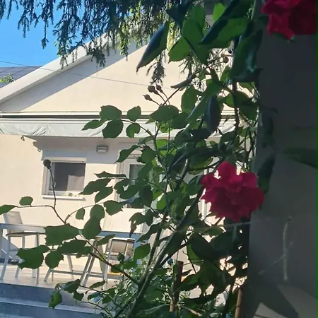 Vilagos Kert Garden -balatonvilagos Дом отдыха Балатонвилагош