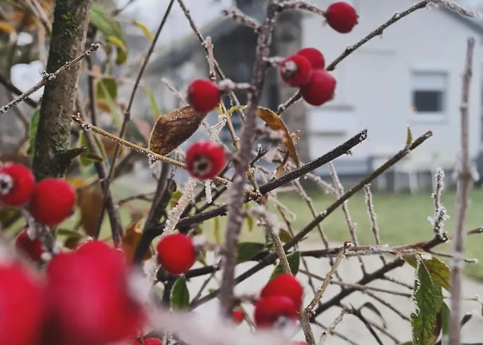בית נופש Vilagos Kert Garden -balatonvilagos *