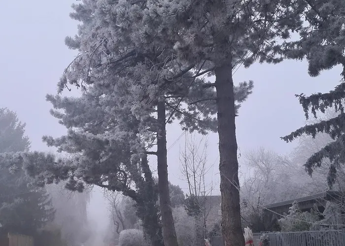 Vilagos Kert Garden -balatonvilagos *