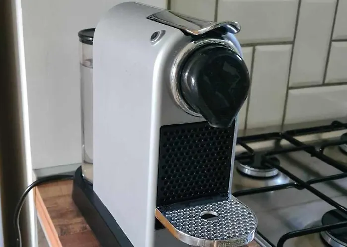 Vilagos Kert Garden -balatonvilagos