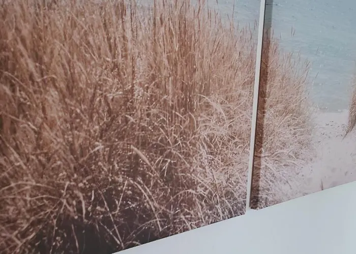 בית נופש Vilagos Kert Garden -balatonvilagos Balatonvilágos