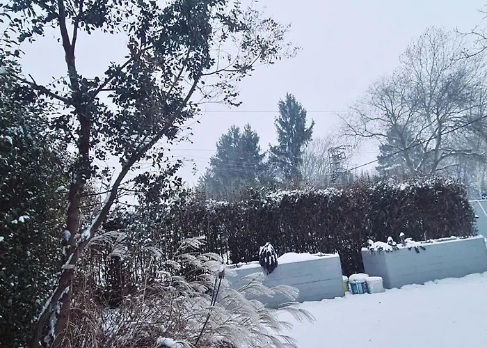 Vilagos Kert Garden -balatonvilagos